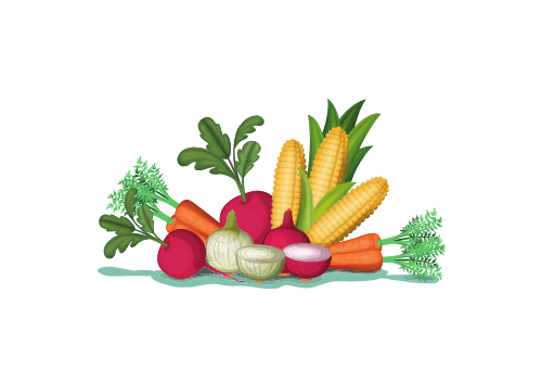 SKB Sylwia Kustosz Bała – Sprzedaż i transport warzyw i owoców